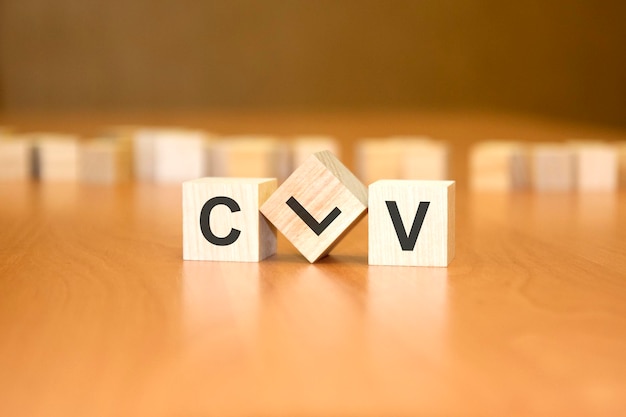 How to Maximize the Value of Every Single Customer Lifetime