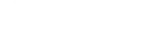 Article Fiesta Logo White
